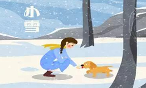 安氏亞森板材：小雪丨花開天下暖，葉落天下寒